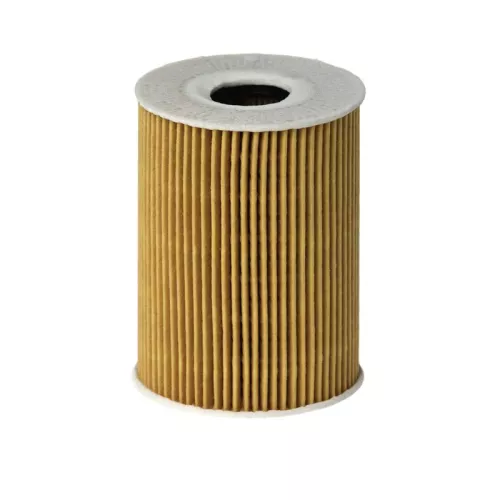 Oliefilter HENGST FILTER E113H D181)