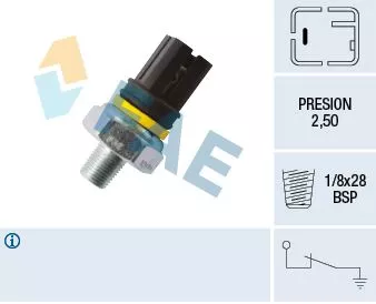 Oil Pressure Switch FAE 12419)