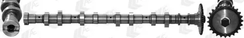 Nokkenas AE CAM966)