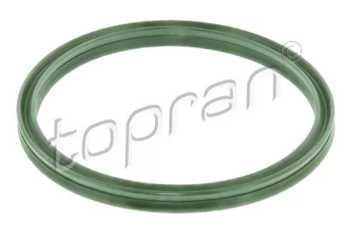 Afdichtring, laadluchtslang TOPRAN 116 305)