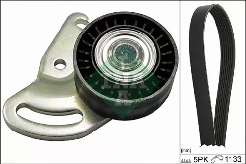 V-ribbed Belt Set Schaeffler INA 529 0178 10)