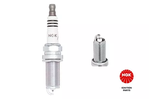 Spark Plug NGK 4469)