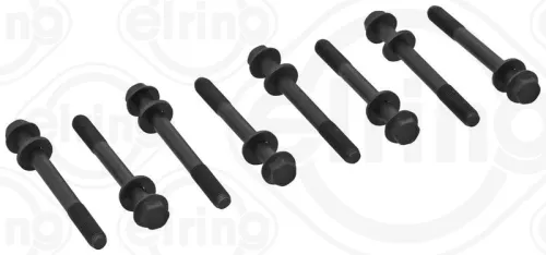 Cilinderkopboutenset ELRING 632.730)