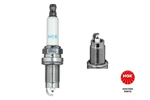 Spark Plug NGK 3586)