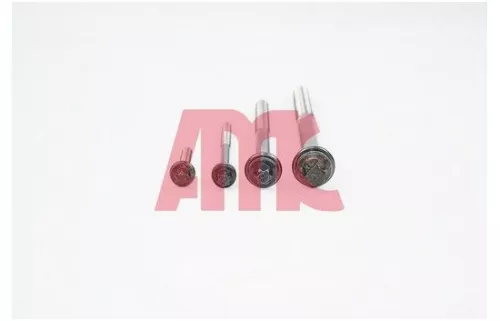 Cilinderkopboutenset AMC 258546)