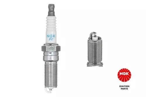 Spark Plug NGK 96463)