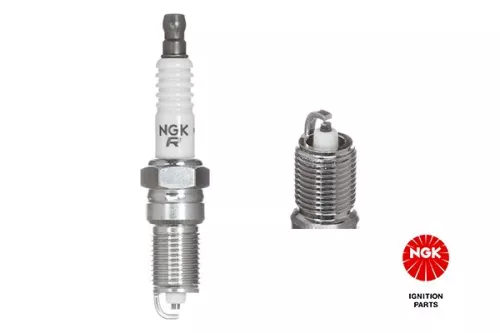 Spark Plug NGK 3951)