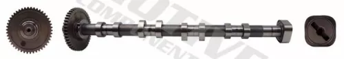 Nokkenas MOTIVE T2131)