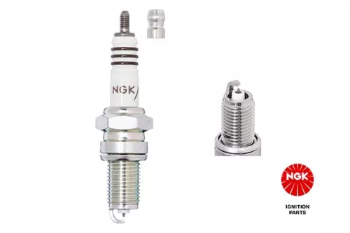 Spark Plug NGK 2202)