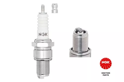 Spark Plug NGK 7310)
