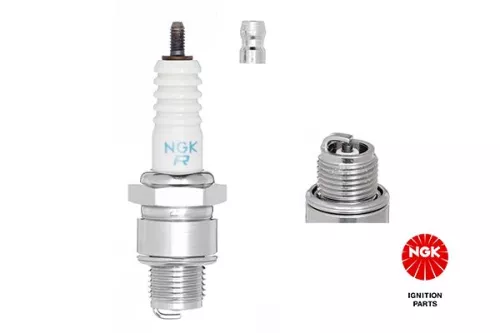 Spark Plug NGK 3922)