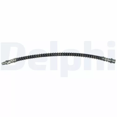 Remslang DELPHI LH6999)