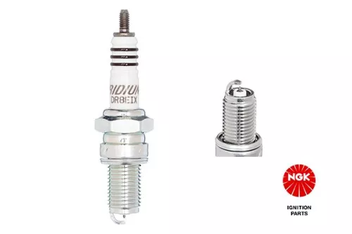 Spark Plug  6681)