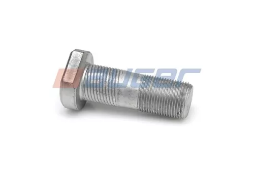 Wielbout AUGER 65556)