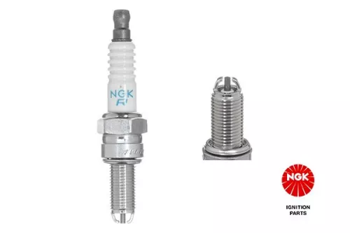 Spark Plug NGK 1462)