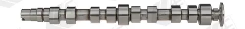 Nokkenas AE CAM925)