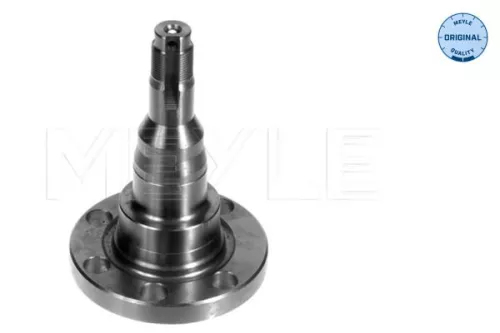 Stompe as, asbalk MEYLE 100 501 1010)