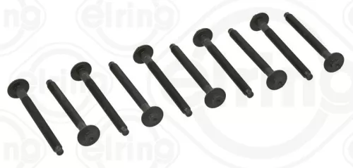 Cilinderkopboutenset ELRING 481.900)