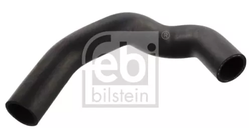 Radiatorslang FEBI BILSTEIN 12095)