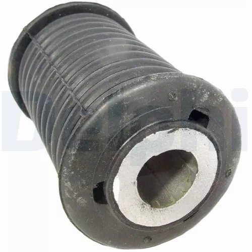 Mounting, leaf spring DELPHI TD859W)