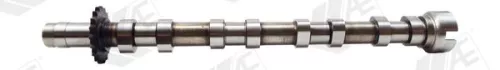 Nokkenas AE CAM975)