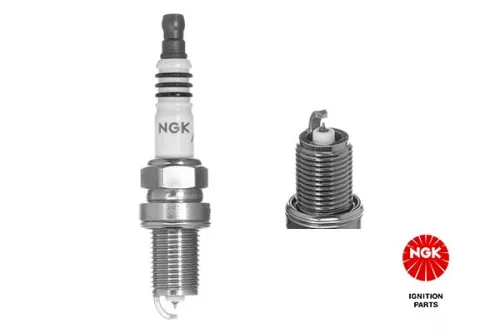 Spark Plug NGK 5690)