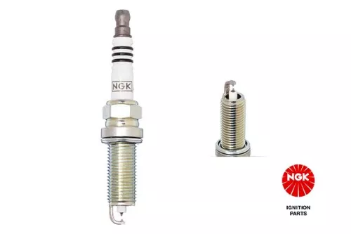 Spark Plug NGK 1317)