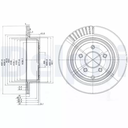 Remschijf DELPHI BG4041)