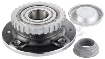 Wiellagerset SNR R166.29)