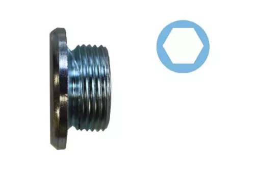 Screw Plug, oil sump CORTECO 220081H)