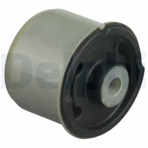 Bus, asbalk DELPHI TD1629W)