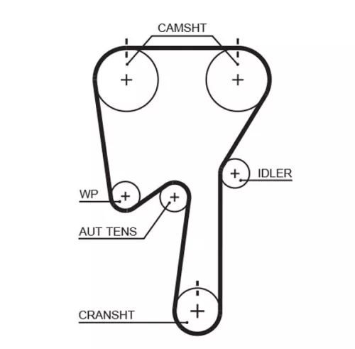 Timing Belt GATES 5509XS)