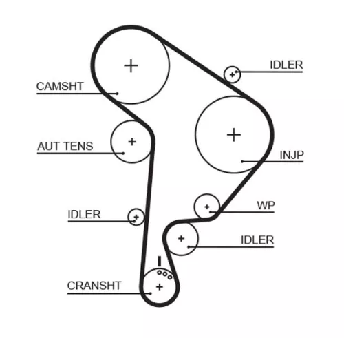 Timing Belt GATES 5559XS)