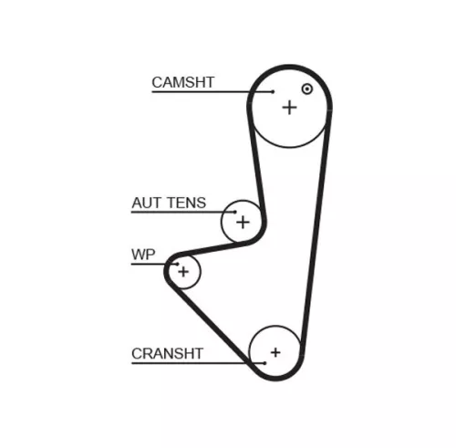 Timing Belt GATES 5574XS)