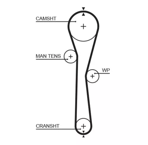 Timing Belt GATES 5577XS)