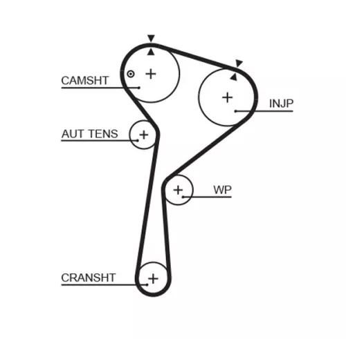 Timing Belt GATES 5578XS)