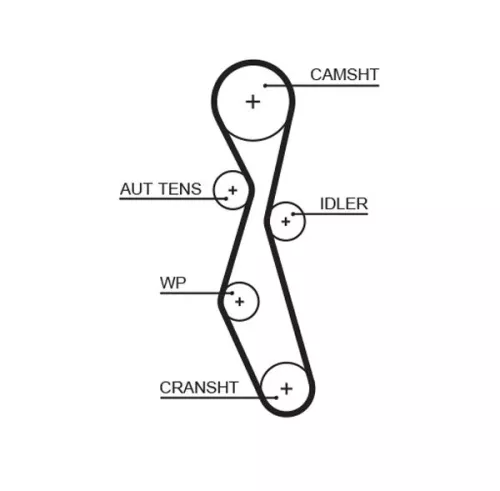 Timing Belt GATES 5606XS)