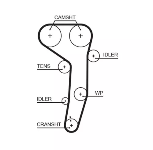 Timing Belt GATES 5607XS)