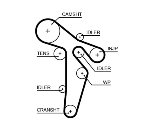 Timing Belt GATES 5648XS)