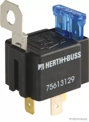 Multifunctional Relay Herth+Buss Elparts 75613129)