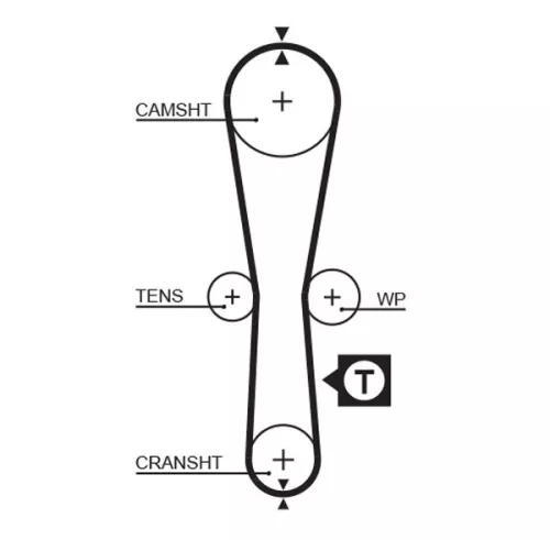 Timing Belt GATES 5454XS)