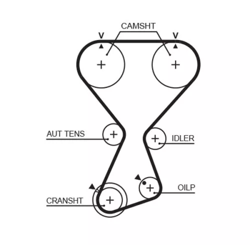 Timing Belt GATES T313)