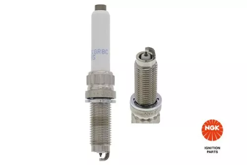 Spark Plug NGK 95248)