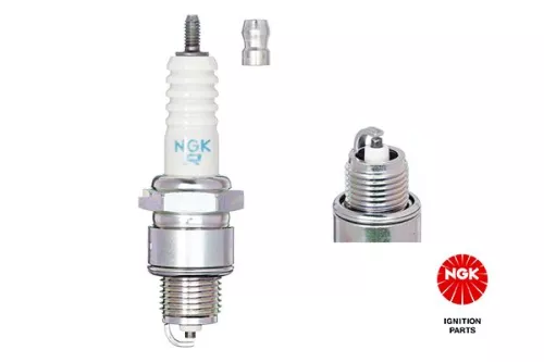 Spark Plug NGK 7022)