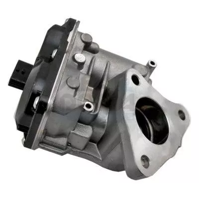 EGR-klep MEAT & DORIA 88490)