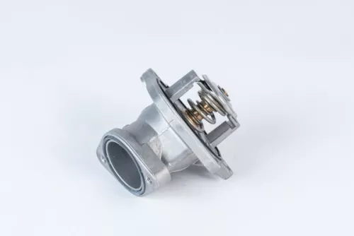 Thermostat, coolant BorgWarner (Wahler) 4832.87D)