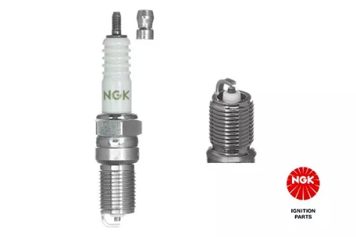 Spark Plug NGK 6466)