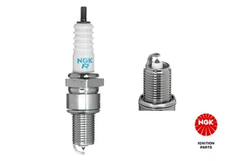 Spark Plug NGK 6248)