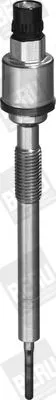 Gloeibougie BorgWarner (BERU) PSG004)