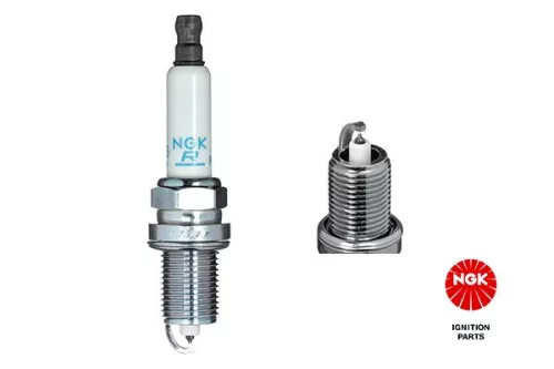 Spark Plug NGK 1748)